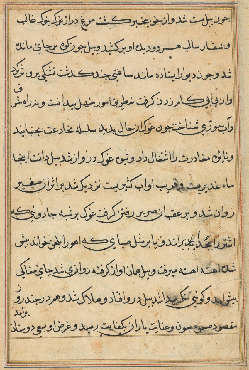 Seite aus Geschichten eines Papageis (Tuti-nama): Textseite von Unknown artist
