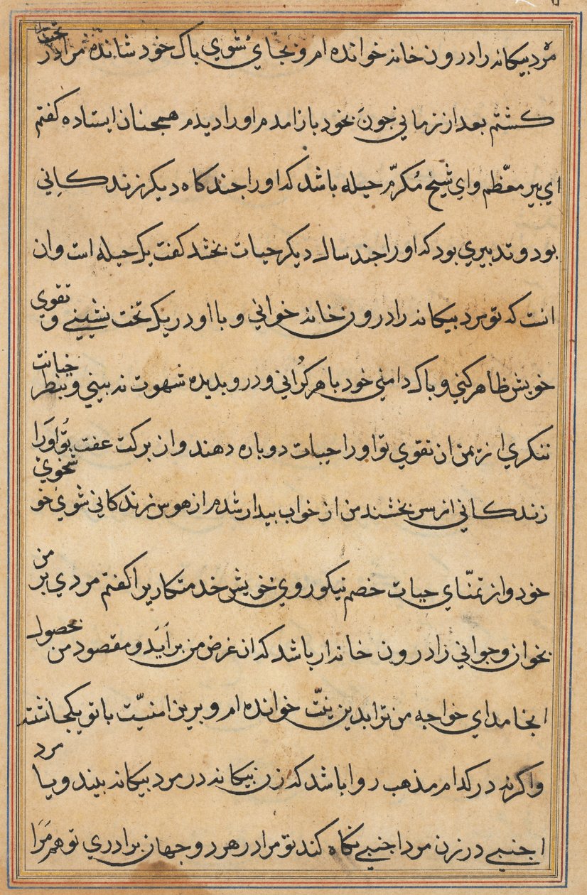 Seite aus Geschichten eines Papageis (Tuti-nama): Textseite von Unknown artist