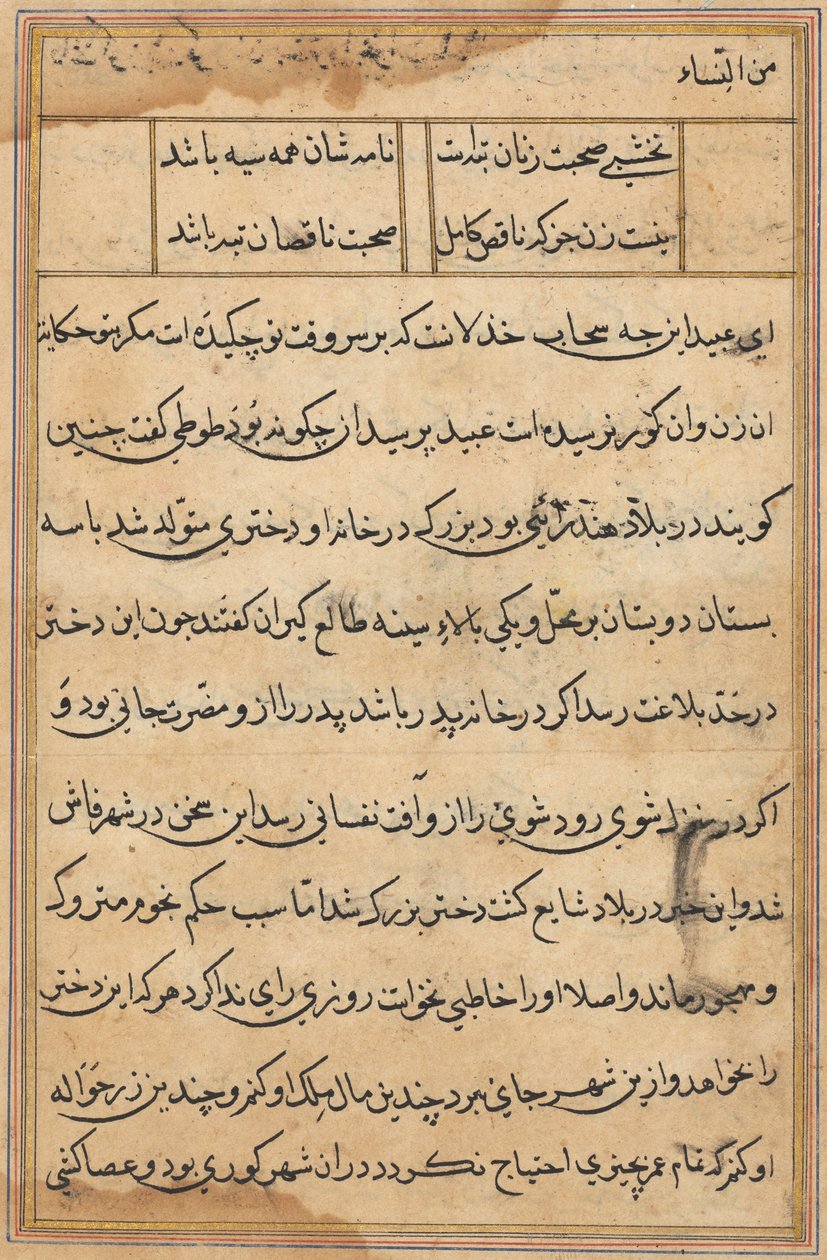 Seite aus Geschichten eines Papageis (Tuti-nama): Textseite von Unknown artist