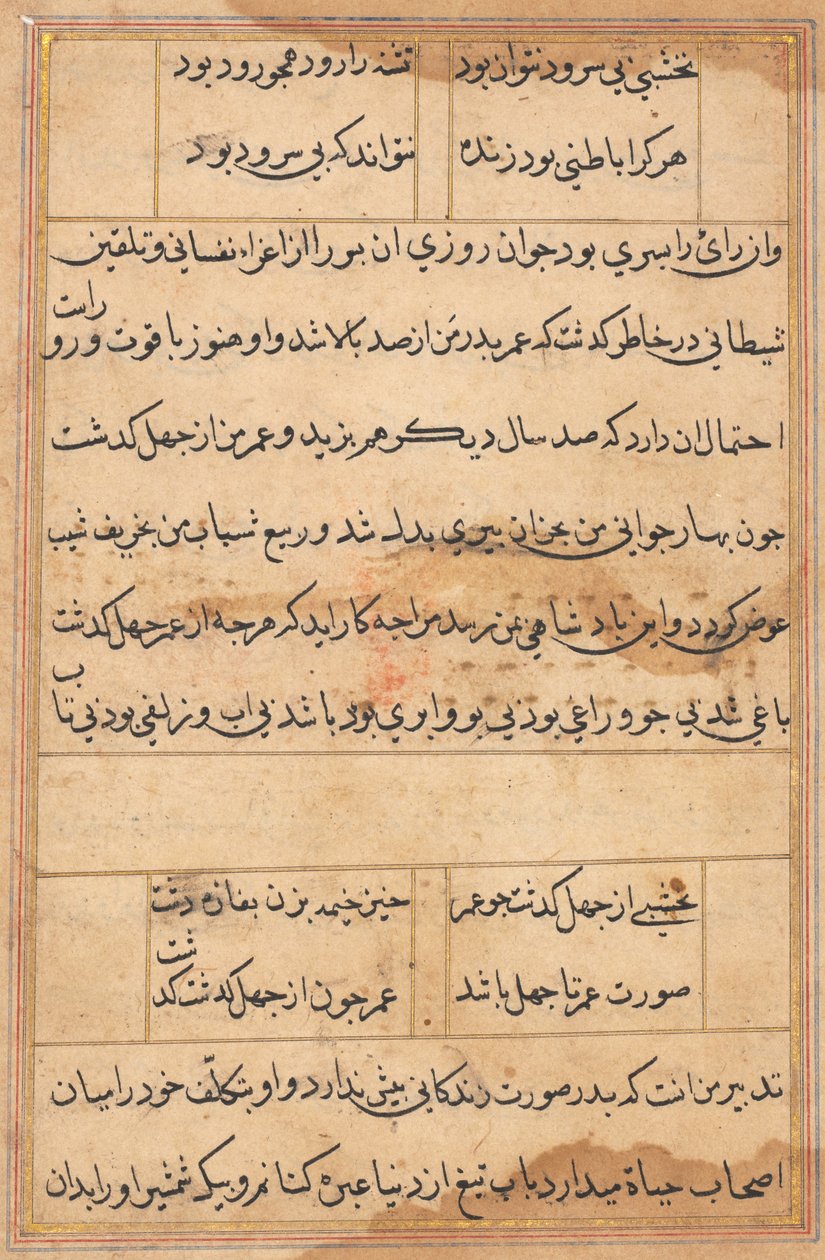Seite aus Geschichten eines Papageis (Tuti-nama): Textseite von Unknown artist