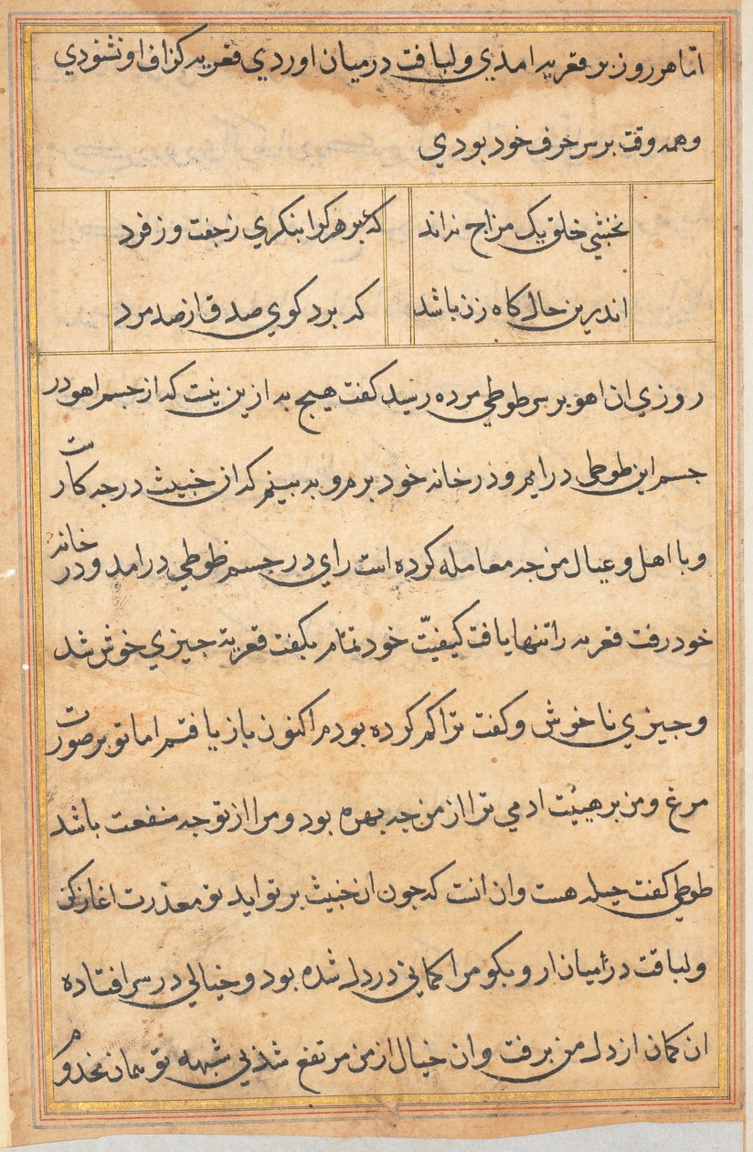 Seite aus Geschichten eines Papageis (Tuti-nama): Textseite von Unknown artist