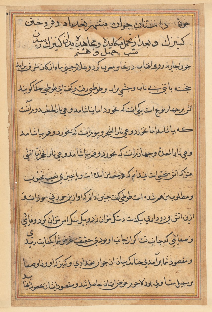 Seite aus Geschichten des Papageis (Tuti-nama): Textseite von Unknown artist