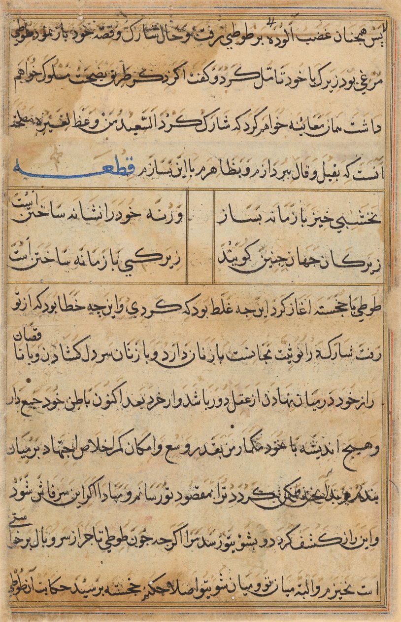 Seite aus Geschichten eines Papageis (Tuti-nama): Textseite von Unknown artist