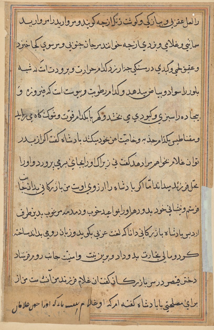 Seite aus Geschichten eines Papageis (Tuti-nama): Textseite von Unknown artist