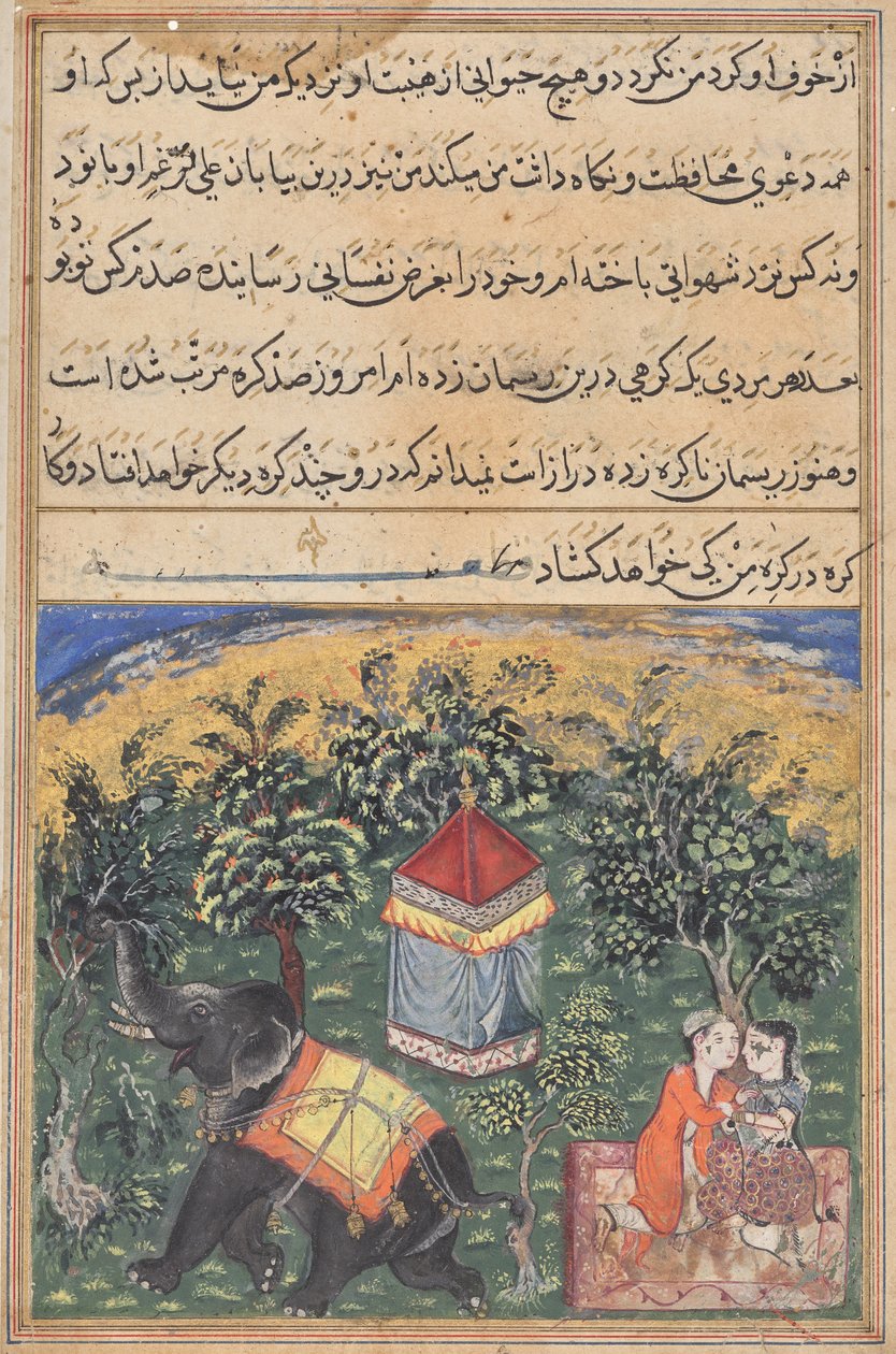 Seite aus Geschichten eines Papageis (Tuti-nama): Textseite von Unknown artist