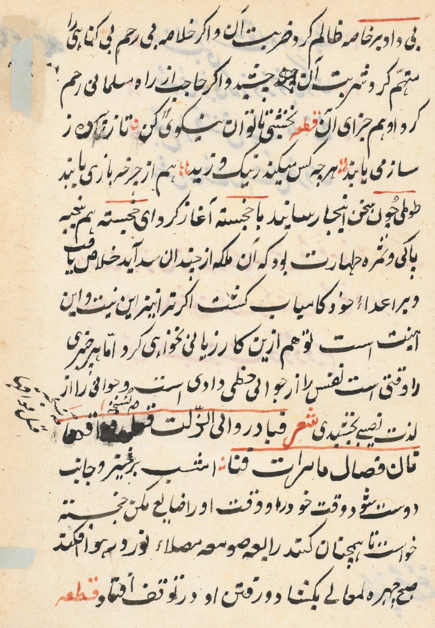 Seite aus Geschichten eines Papageis (Tuti-nama): Textseite von Unknown artist
