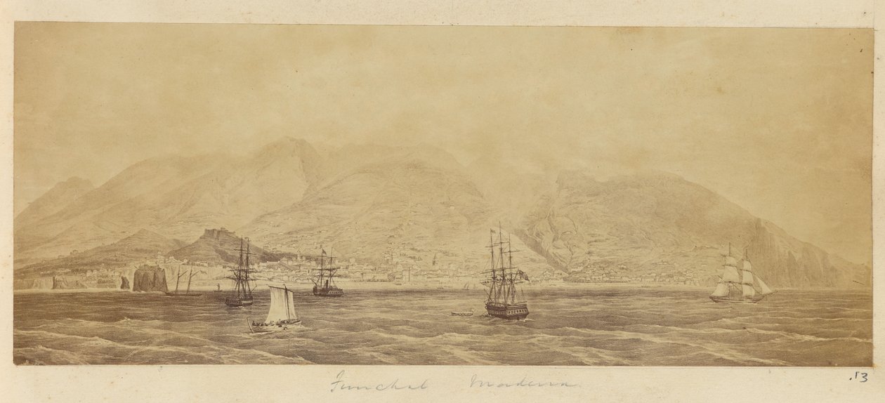 [Panorama des Hafens, Funchal, Madeira] von Unknown artist