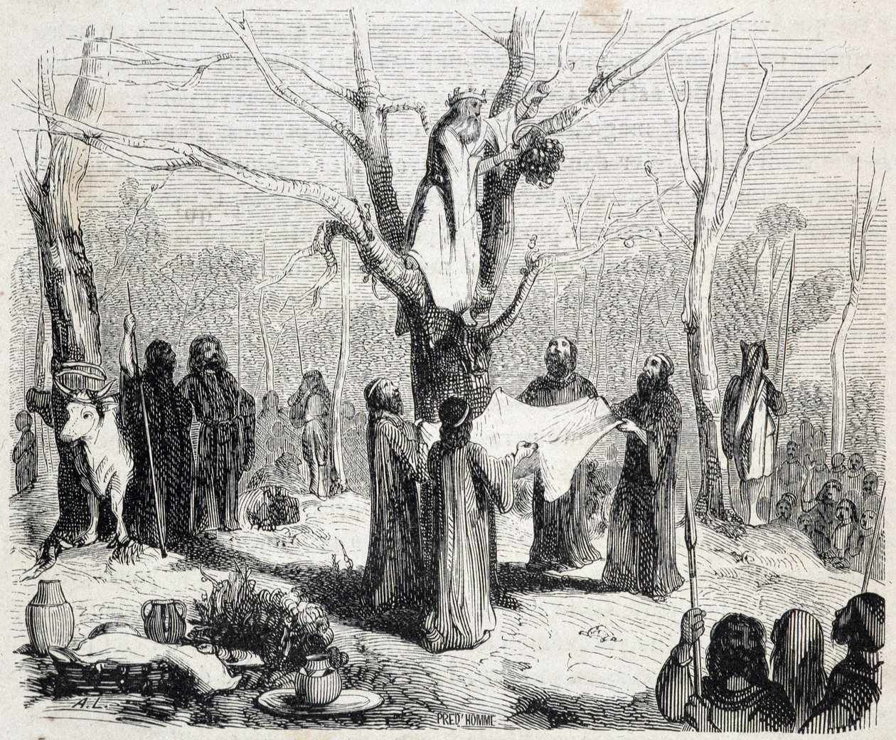 Pitre Chevalier, herausgegeben von W. Coquebert von Unknown artist