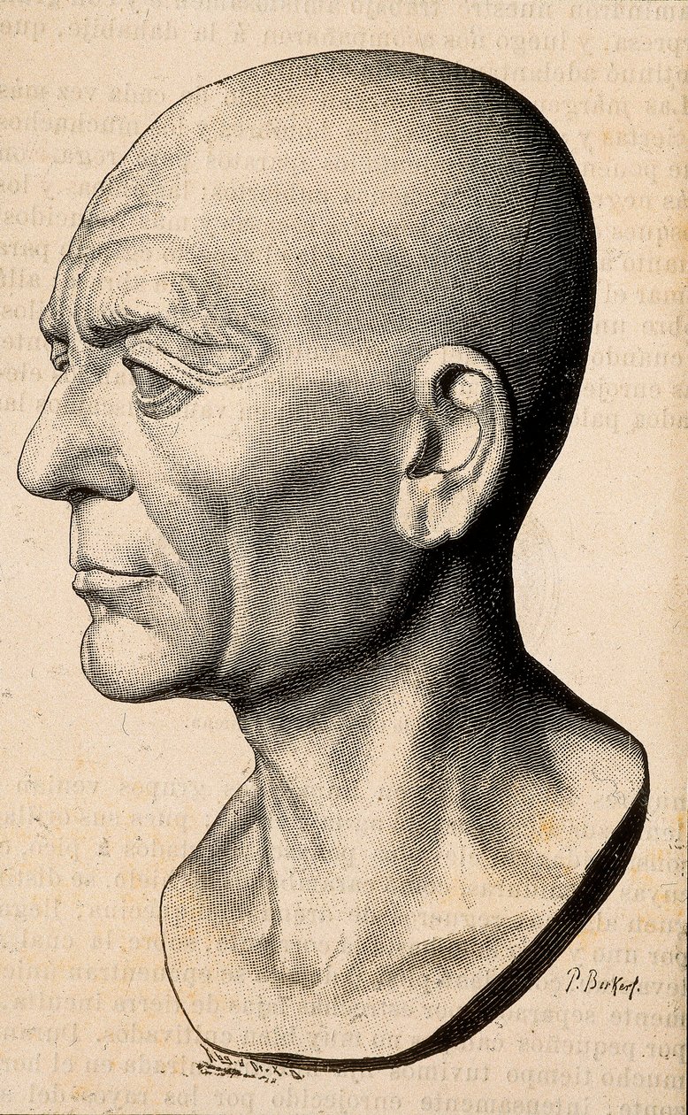 Porträt von Publius Cornelius Scipio (Scipio Africanus), römischer Staatsmann (235-183 v. Chr.) von Unknown artist