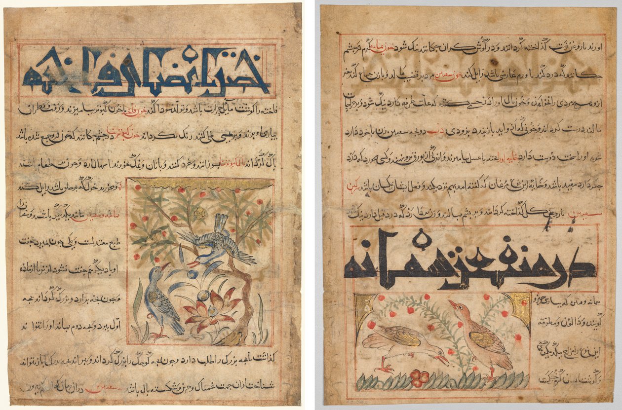 Eigenschaften der Ringeltauben (recto); Über die Vorteile der Wachteln (verso), aus einem persischen Manafi