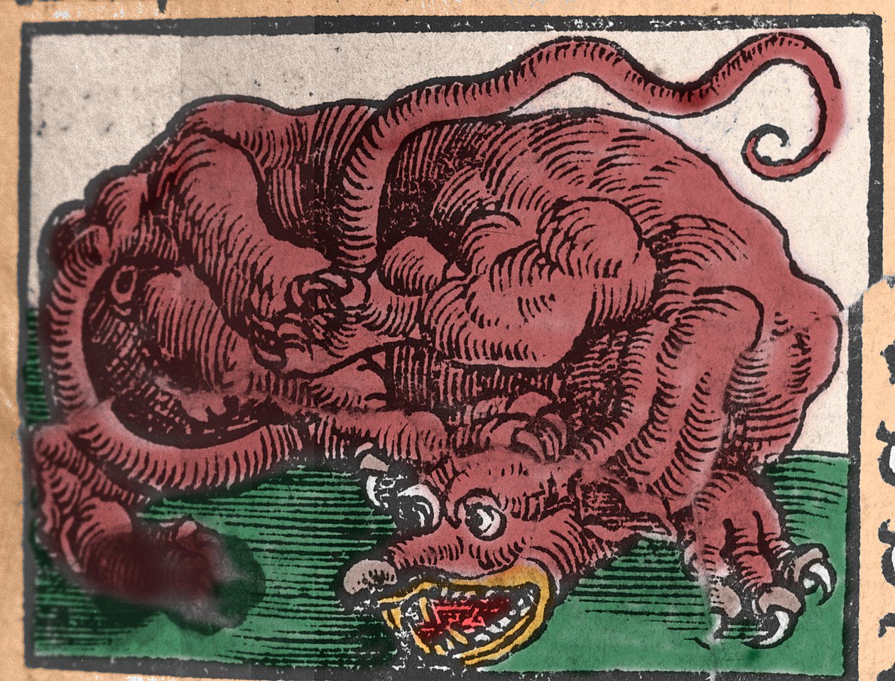 Darstellung eines Drachen. Gravur aus „Den Edlen Strength Besten Fromen“ von Johann Stumpff. 1550 von Unknown artist