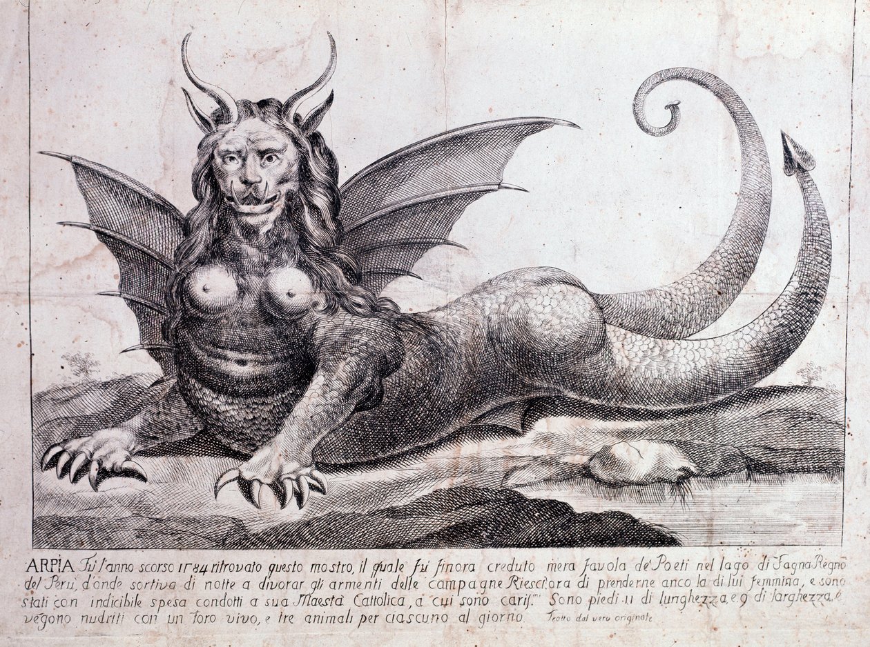 Darstellung einer Harpyie (Druck, 1784) von Unknown artist