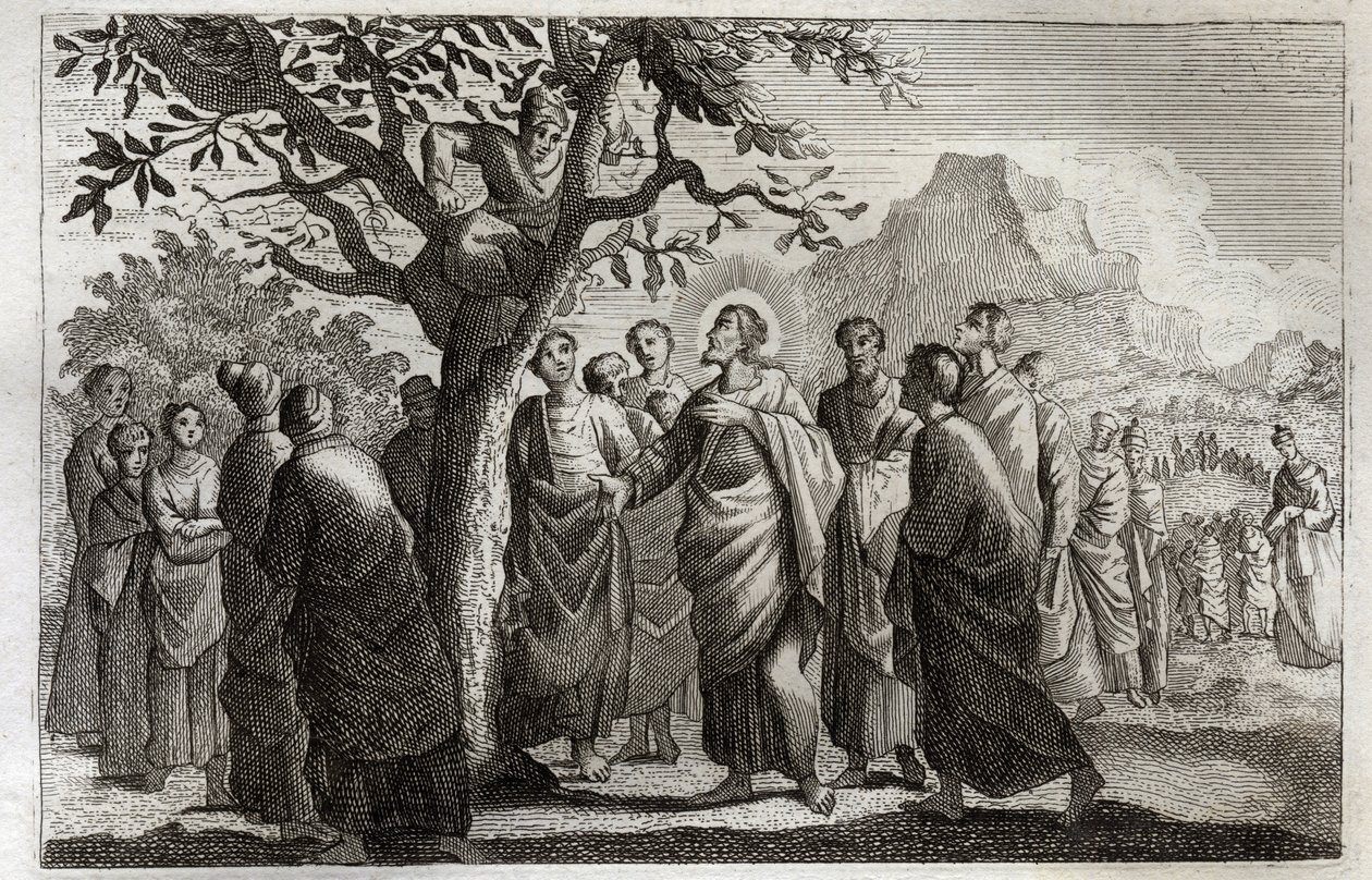Royaumont-Bibel, Neues Testament: Bekehrung des Zachäus. Jesus Christus spricht mit Zachäus, der auf dem Maulbeerbaum sitzt. Illustration von 1811. von Unknown artist
