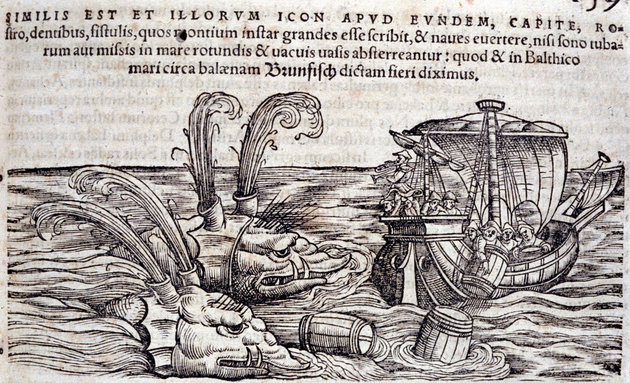 Matrosen werfen Fässer ins Meer, um Monster abzulenken. Gravur in „Historia Animalium“ von Conrad Gesner (1516-1565), Tiguri von Unknown artist
