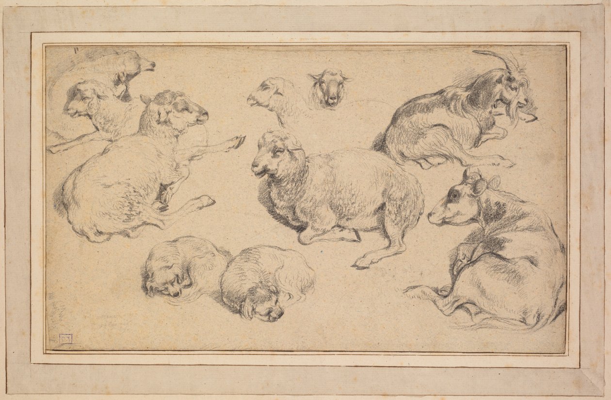 Blatt mit Studien von Schafen, Ziegen und Hunden von Unknown artist
