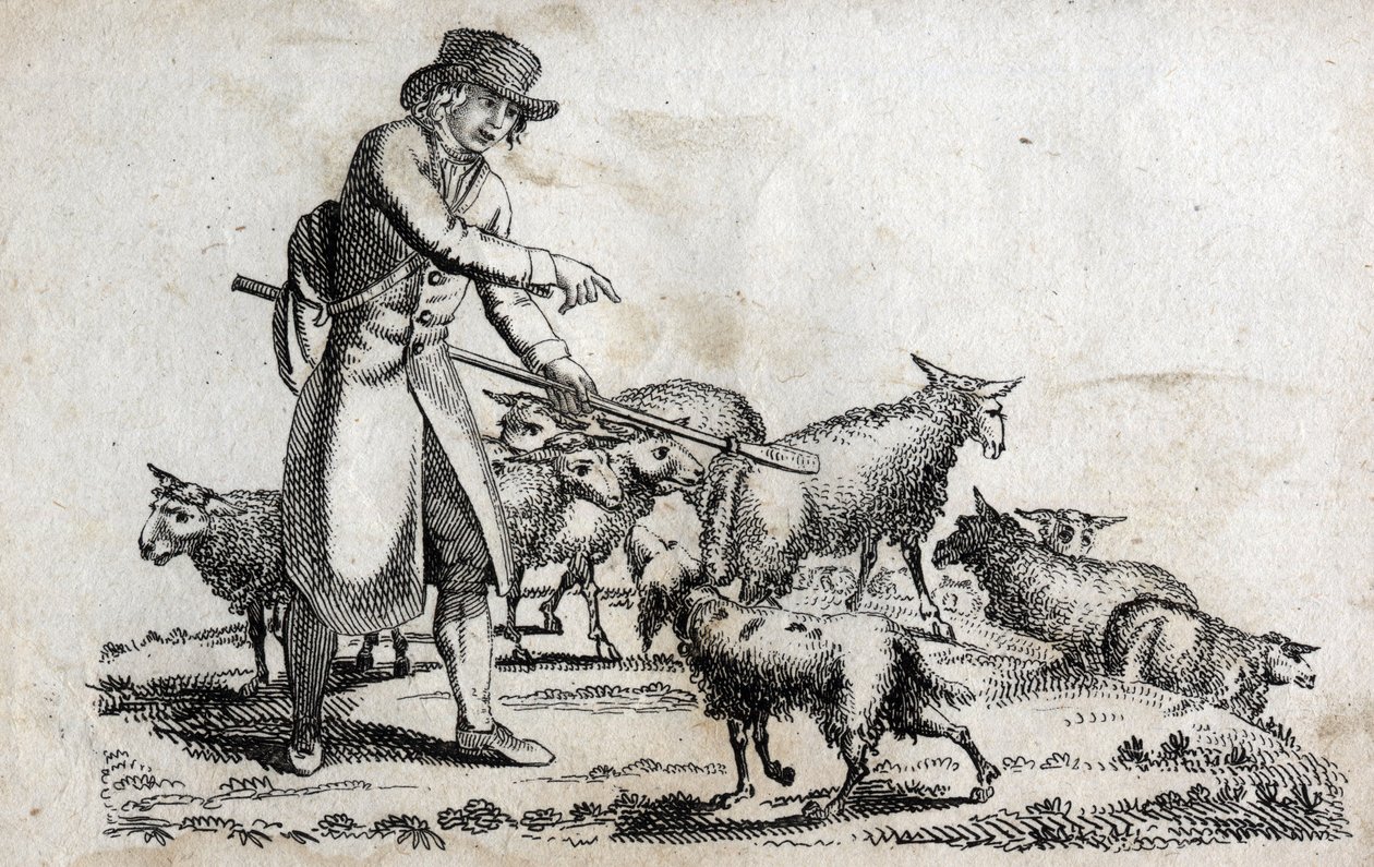Schäfer mit seiner Schafherde. Gravur späte 18. Jahrhundert. Private Sammlung. von Unknown artist