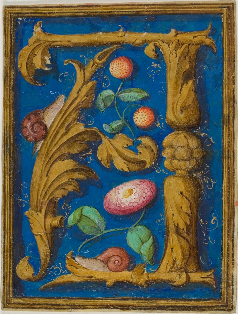 Schnecken, Erdbeeren und eine Blume in einem verzierten Initial "A" aus einem Manuskript von Unknown artist