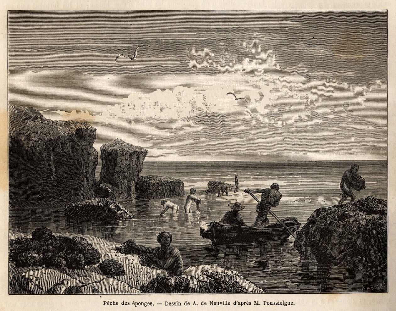 Schwammfischen durch die Inselbewohner von Anastasia Island, bei Ebbe, Frauen und Kinder sammeln unter den Felsen und Männer fahren mit Kanus hinaus, um sie vom Meeresgrund zu bergen. Gravur zur Illustration der Geschichte "Vier Monate in Florida", von Ach von Unknown artist