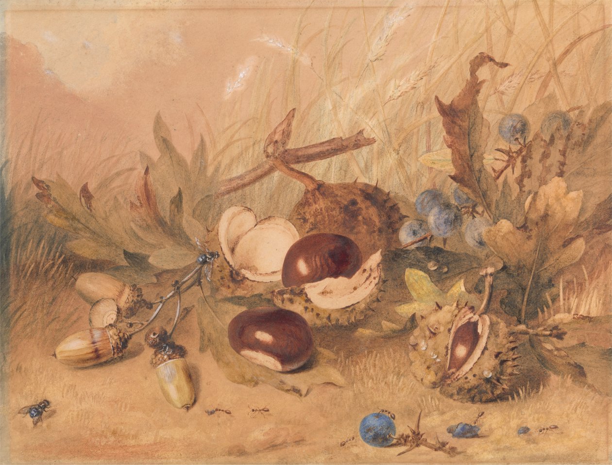Stillleben mit Eicheln und Rosskastanien von Unknown artist