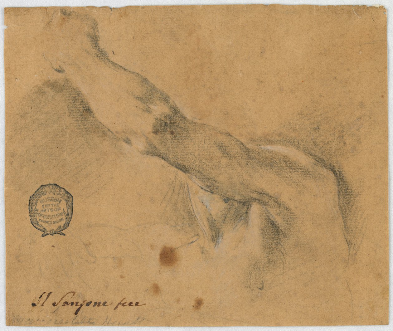 Studie: Der linke Arm und die benachbarten Teile des Körpers eines älteren Mannes von Unknown artist