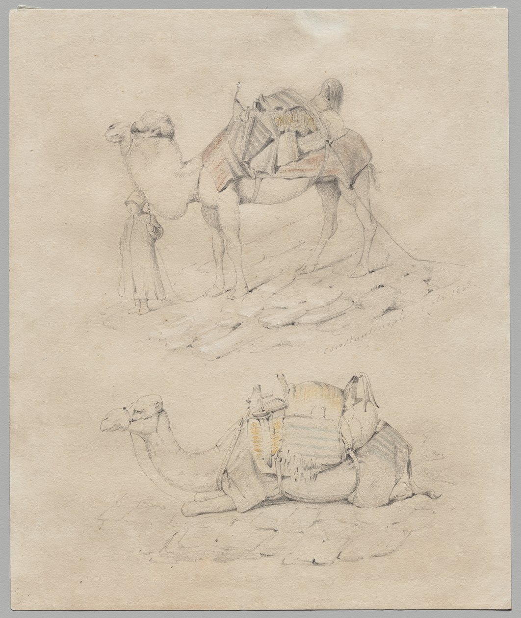 Studie von Kamelen von Unknown artist