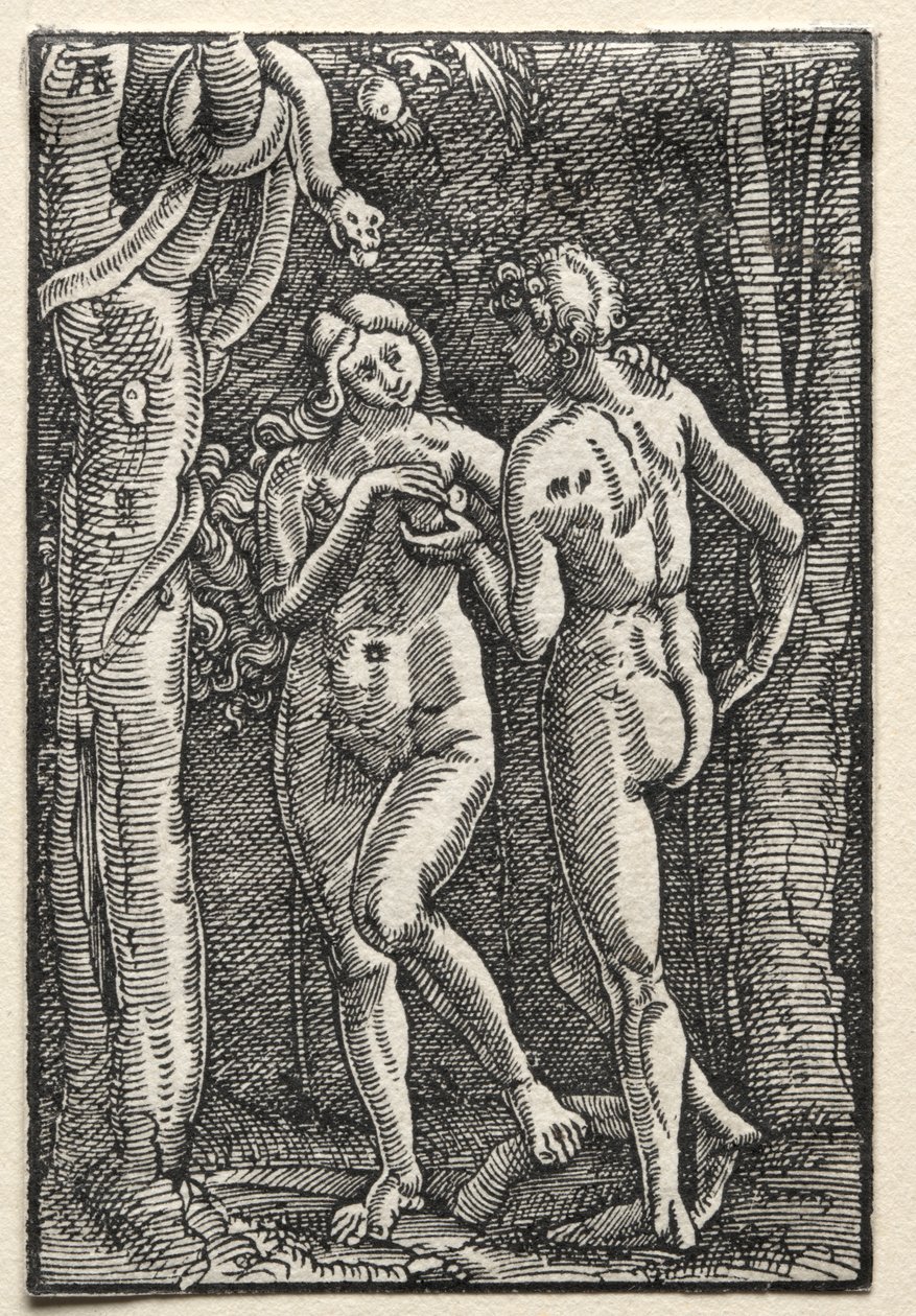 Der Fall und die Erlösung des Menschen von Unknown artist