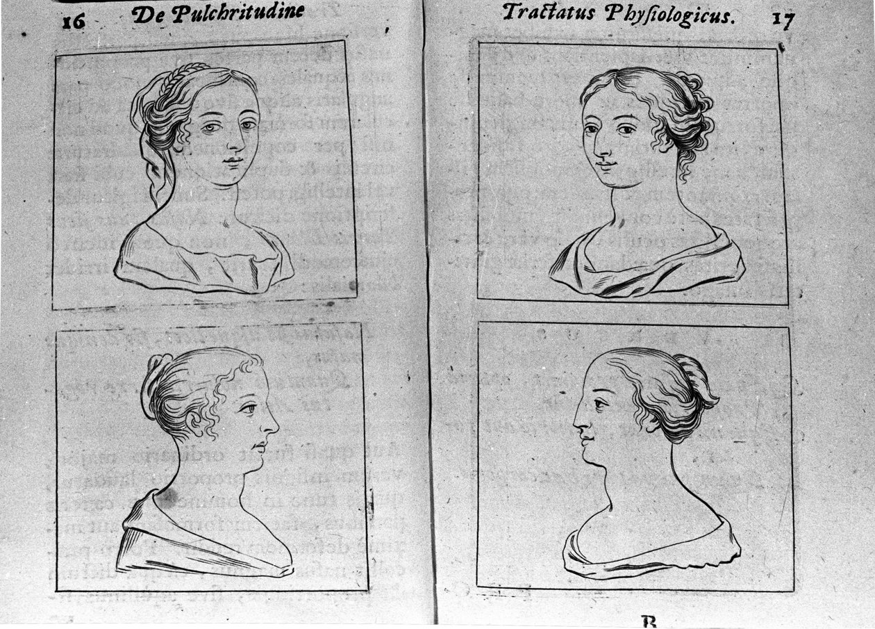 Die verschiedenen weiblichen Profile Seite aus „Tractatus physiologicus de pulchritudine“ behandelt von Ernesto Venio (Ernestus Vaenius), der die Schönheit der Schöpfung gegen einen anonymen Gegner verteidigt. 1612 von Unknown artist