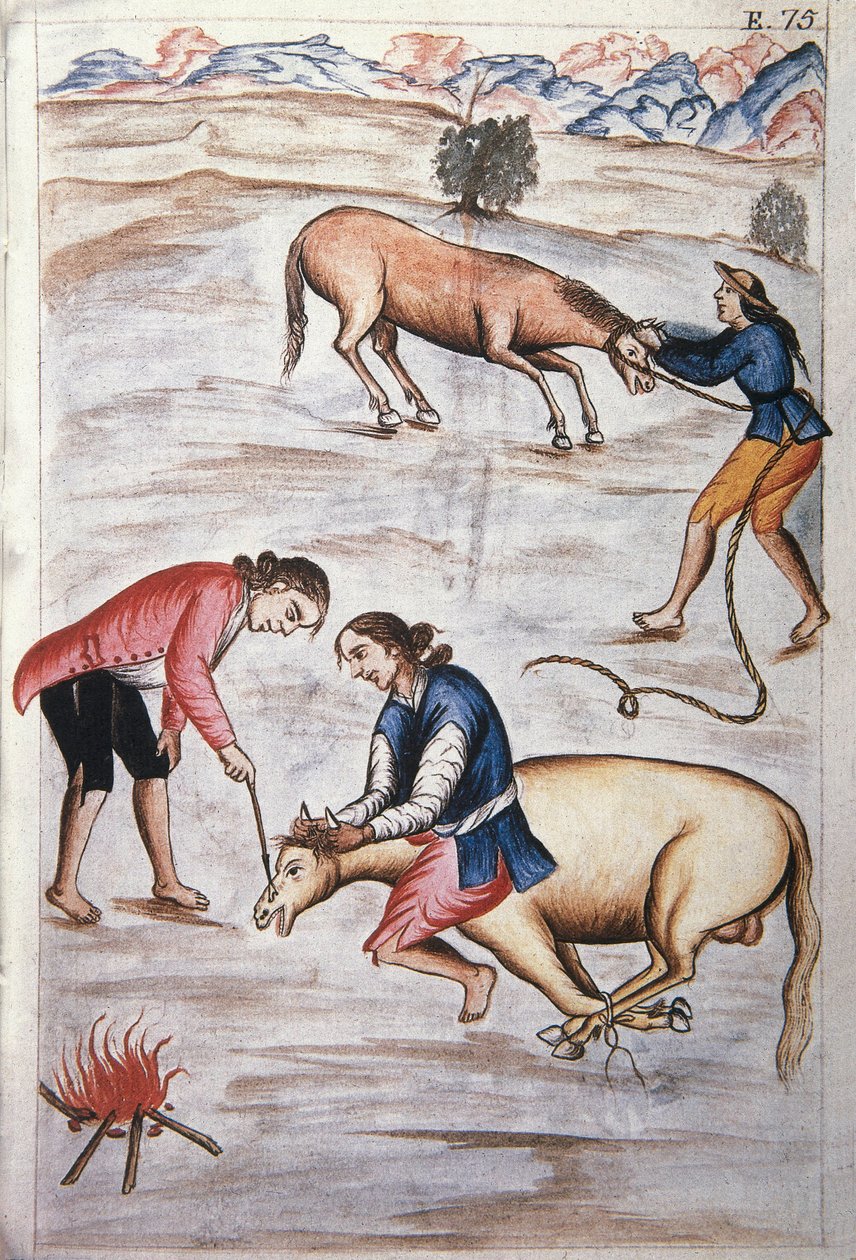 Das rote Eisenbrandzeichen einer Stute, aus dem Buch "Trujillo del Peru" oder "Códice Martínez Compañón", von Baltazar Martinez Compañón y Bujanda, Bischof von Trujillo (1782-1785) von Unknown artist