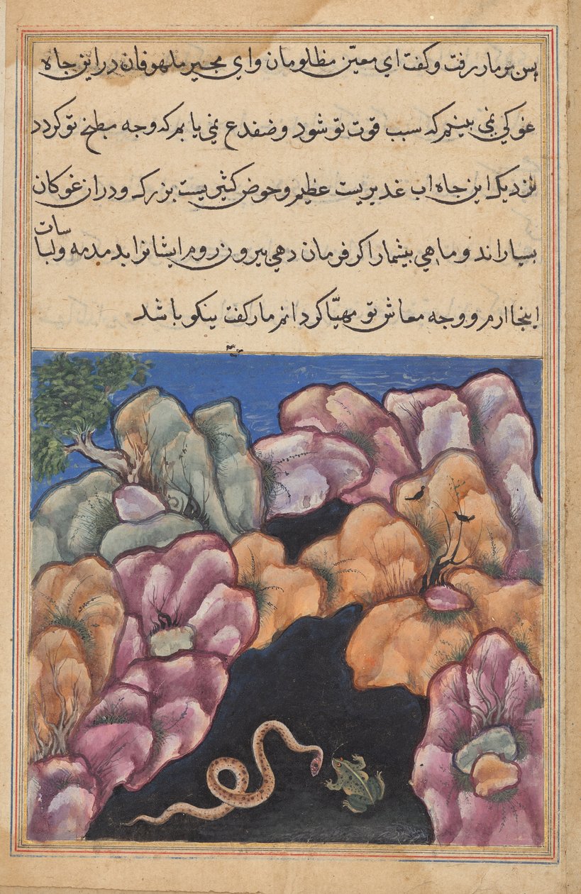 Die Schlange gerät in einen Streit mit dem Frosch, aus einem Tuti-nama (Geschichten eines Papageis): Sechsundzwanzigste Nacht von Unknown artist