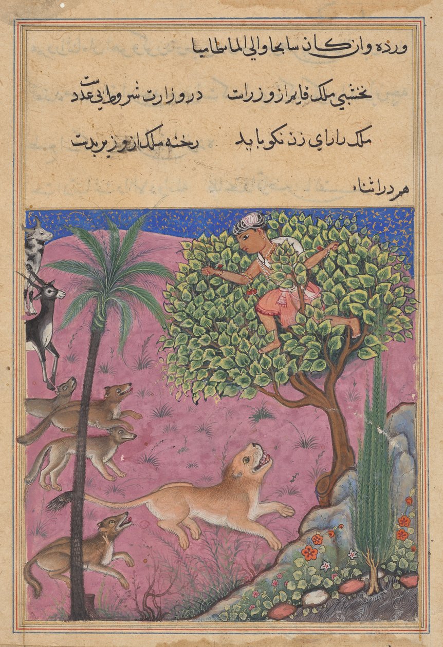 Der Wolf und der Schakal, die als Wesire dienen, stiften den Löwen an, der den Brahmanen auf einen Baum verfolgt, aus einem Tuti-nama (Geschichten eines Papageis): Einundzwanzigste Nacht von Unknown artist