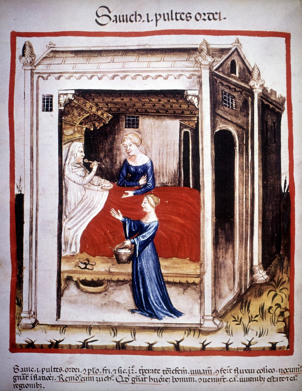 Abhandlung über Medizin „Tacuinum sanitatis“ 14. Jahrhundert: ein Patient, der von Krankenschwestern betreut wird. B.N, Wien. von Unknown artist
