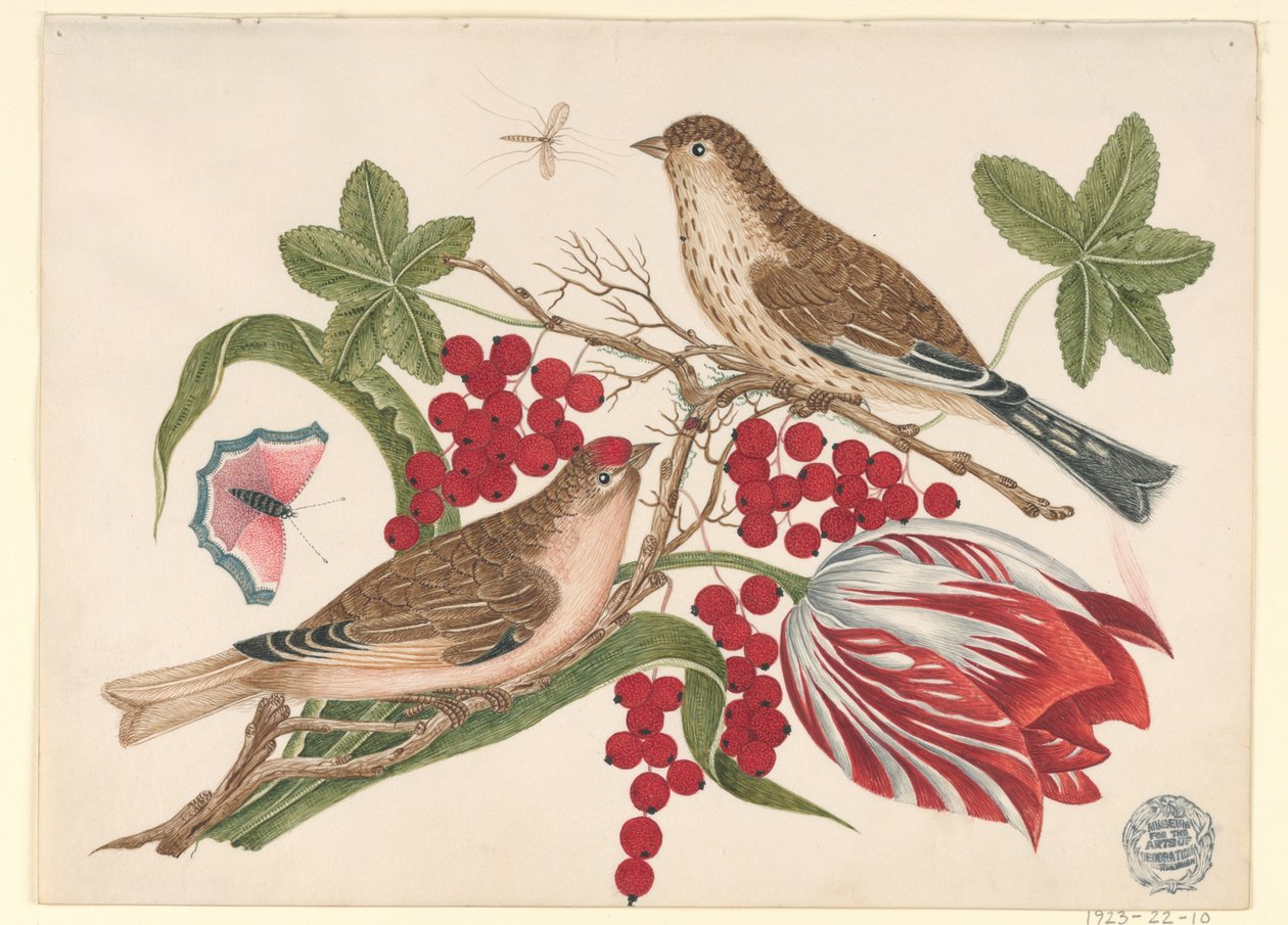 Zwei braune Vögel auf einem Ast mit Tulpe, Beeren und Insekten von Unknown artist