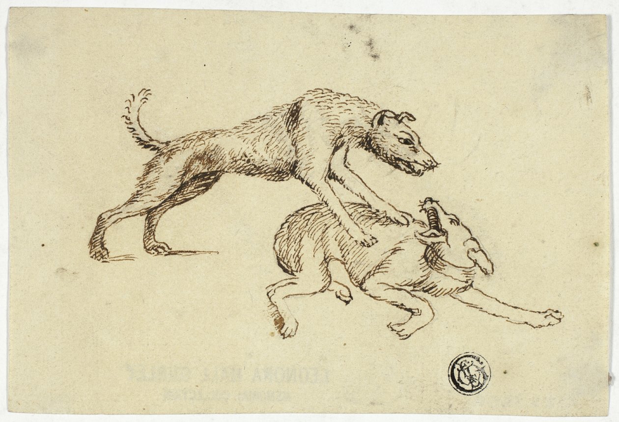 Zwei Hunde kämpfen von Unknown artist