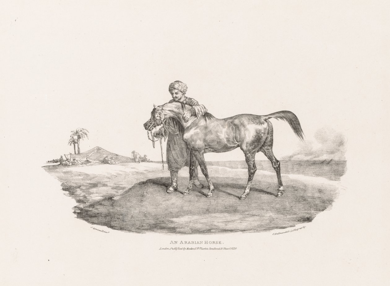 Verschiedene Motive aus dem Leben und auf Stein: Ein arabisches Pferd von Unknown artist