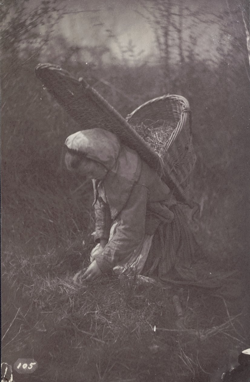 [Frau mit Korb auf dem Rücken] von Unknown artist