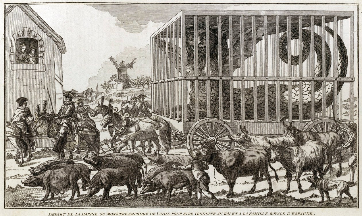Zoomorphismus - Karikatur gegen Marie-Antoinette - Abgereist vom Harpyien- oder Amphibienmonster von Cadiz, um zum König und zur königlichen Familie von Spanien gebracht zu werden: Dieses Tier wurde an den Ufern des Sees Fagua gefangen - 1784 - von Unknown artist