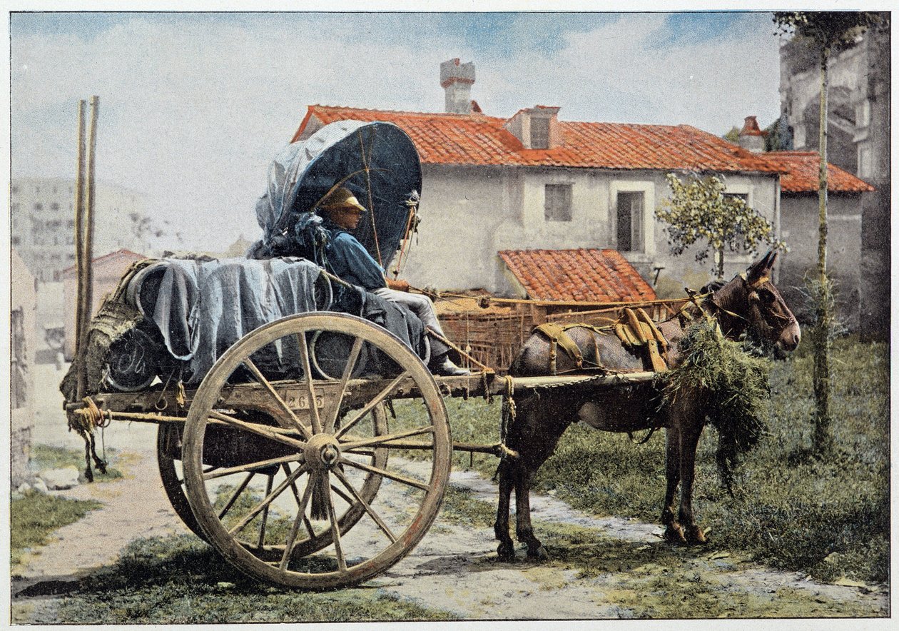 Ein Fuhrmann, der seinen Wein transportiert. Rom, Italien, Ende 19. Jahrhundert von Unknown photographer