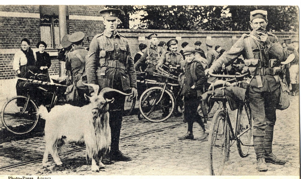 Gat: Maskottchen der Soldaten während des Ersten Weltkriegs (1914-1918) von Unknown photographer