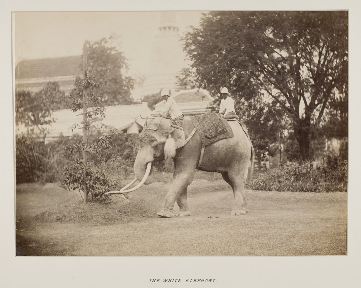 Fotografie im Fotoalbum von Unknown photographer