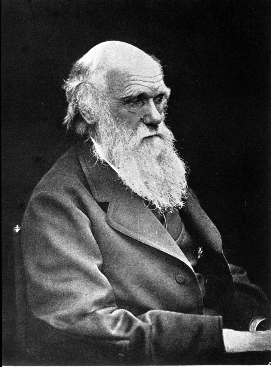 Fotografisches Porträt von Charles Darwin (1809 - 1882), englischer Naturforscher. 1881 von Unknown photographer