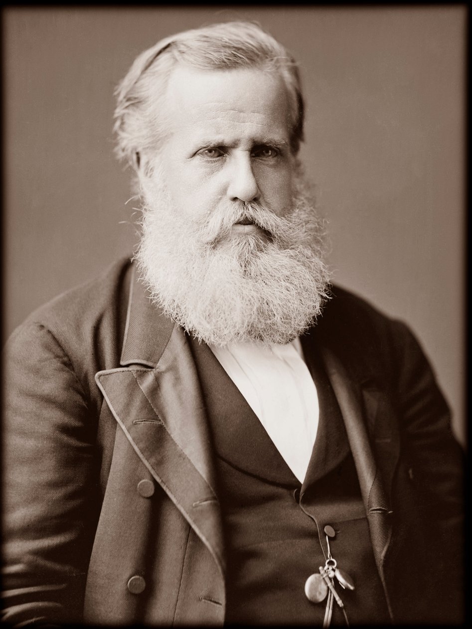 Porträt von Dom Pedro II (Peter II) (Dom Pedro de Alcantara) (1825-1891), Kaiser von Brasilien von Unknown photographer