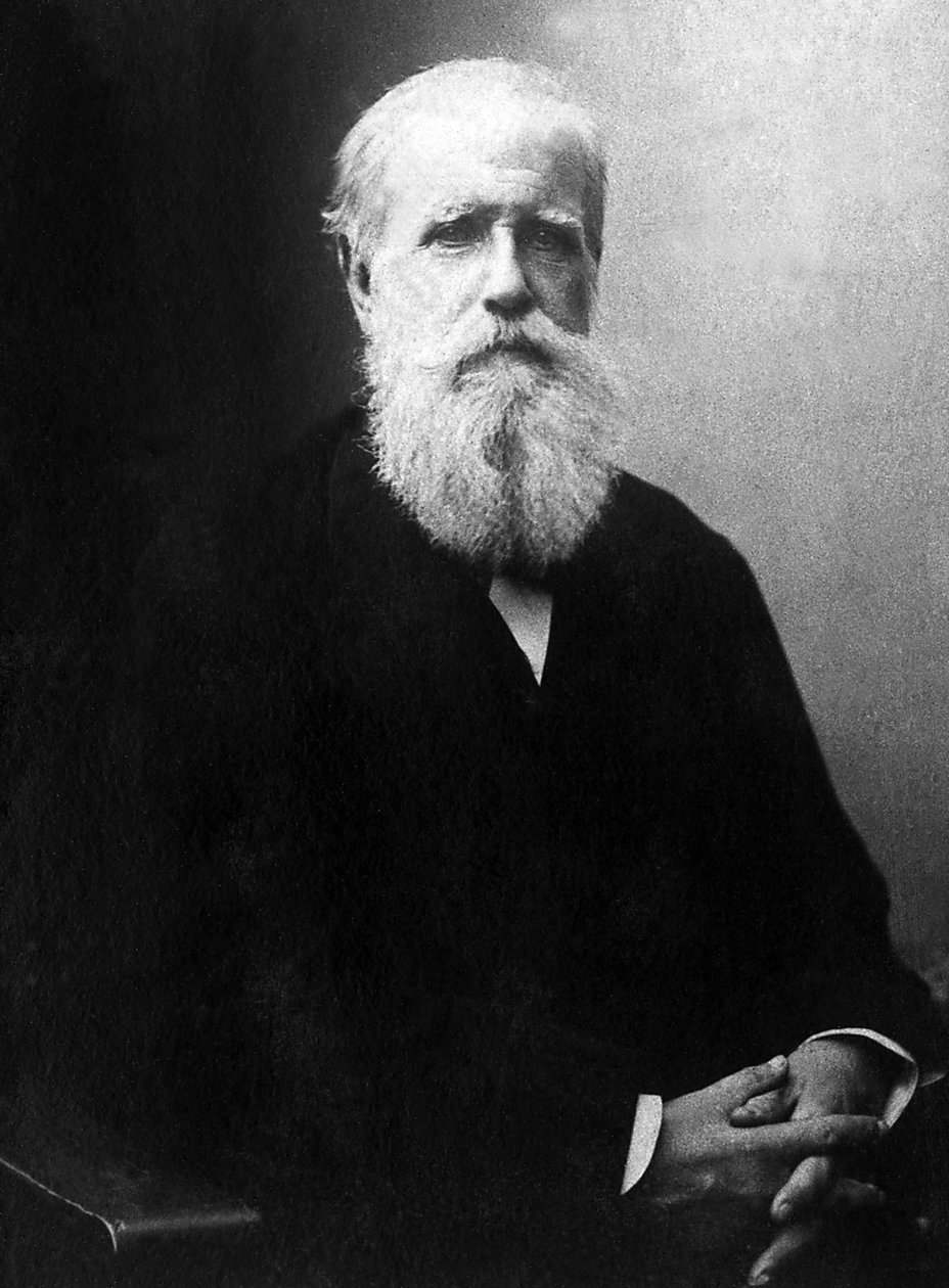 Porträt von Dom Pedro de Alcantara (Peter II) (1825-1891), Kaiser von Brasilien von Unknown photographer