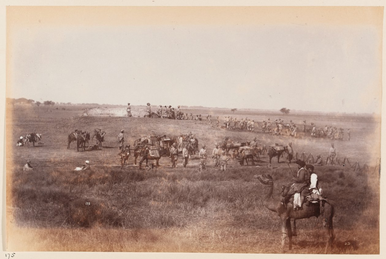 Sappers und Miners graben Schutzgräben während des Delhi-Übungslagers, um 1885 von Unknown