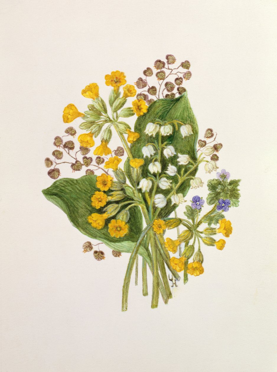 Maiglöckchen und Schlüsselblumen von Ursula Hodgson