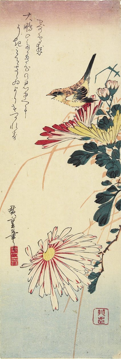 Chrysanthemen und ein Würger, 1830-1858 von Utagawa Hiroshige