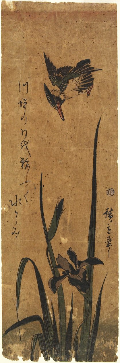 (Iris und Eisvogel), 1830-1858 von Utagawa Hiroshige