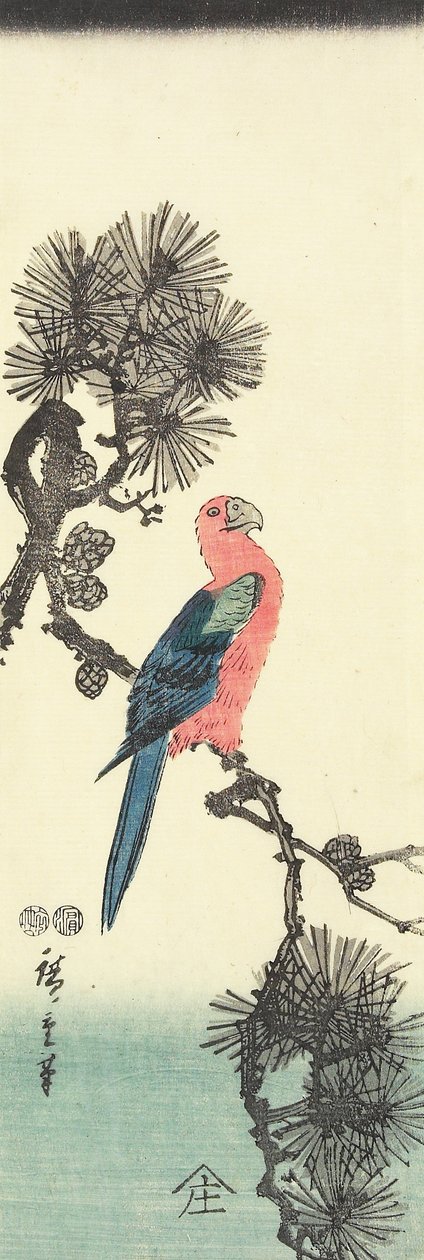 Papagei auf Kiefer, 1847-1852 von Utagawa Hiroshige