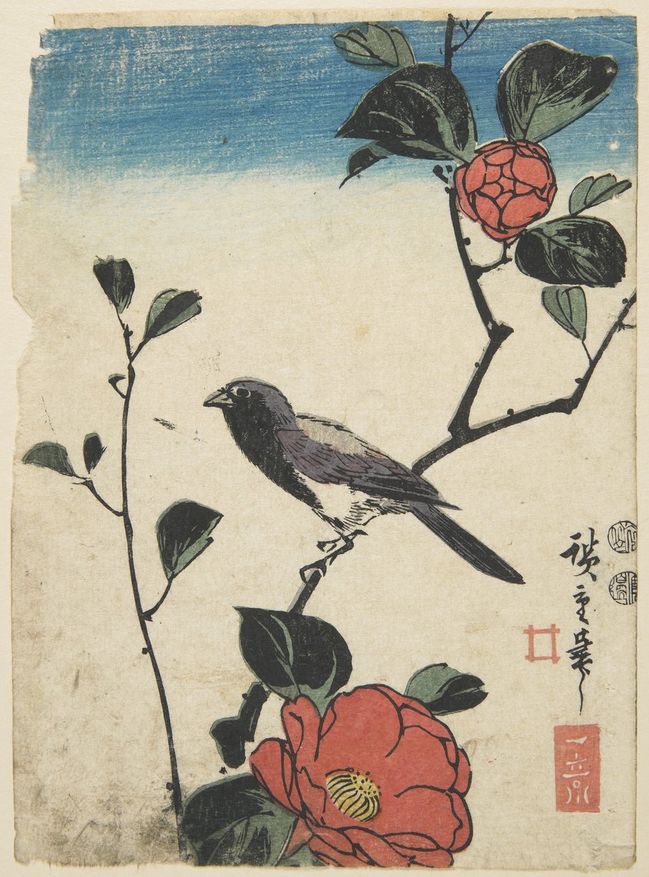 Vogel auf Kirschzweig, 1847-1852 von Utagawa Hiroshige