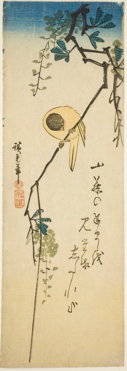 Vogel auf seidiger Glyzinie von Utagawa Hiroshige