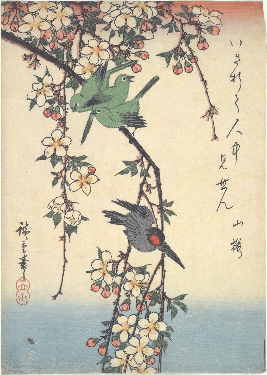 Vögel auf einem Kirschzweig von Utagawa Hiroshige
